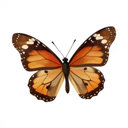 Viceroy