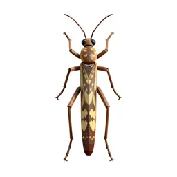 Walking stick