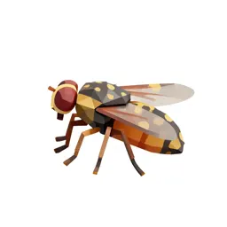Warble fly