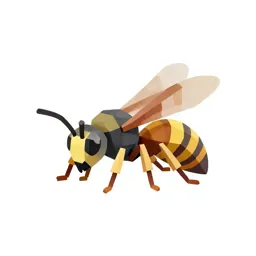 Wasp