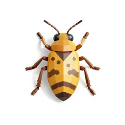 Wax insect