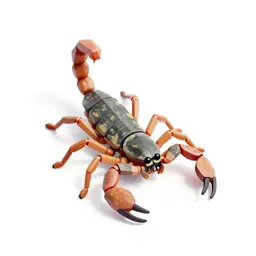 Whip-scorpion