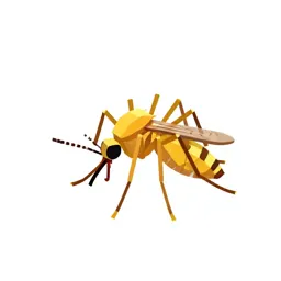Yellow-fever mosquito