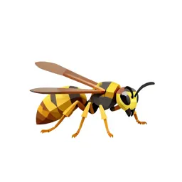 Yellow jacket