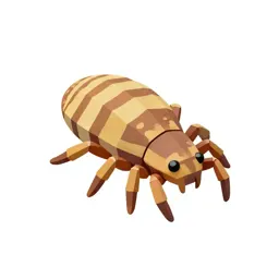 Acarid