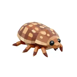 Acarus