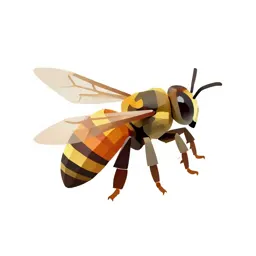 Andrena