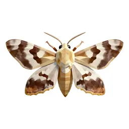 Antler moth