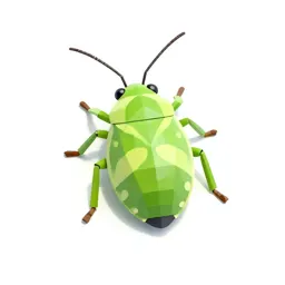 Apple aphid