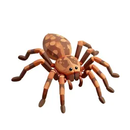Arachnid