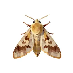 Eggar