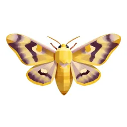 Imperial moth