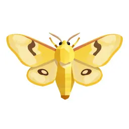 Io moth