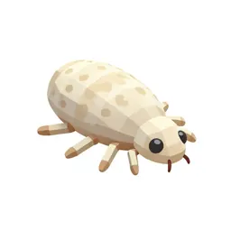 Itch mite