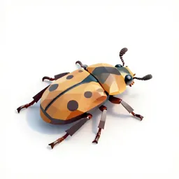 Oil beetle