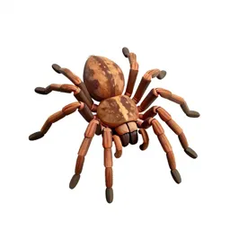 Orb-weaving spider