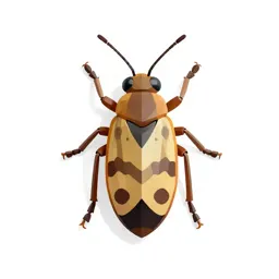 Orthopterous insect
