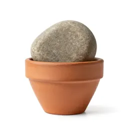Pebble
