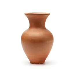 Phragmocone