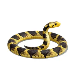 Banded krait