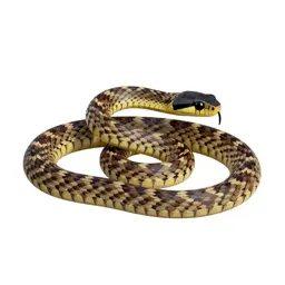 Black-headed snake