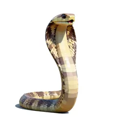 Black-necked cobra