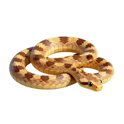 Blind snake