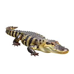 Caiman lizard