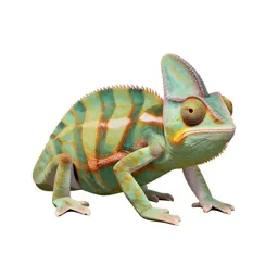 Chameleon tree frog
