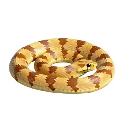 Chicken snake