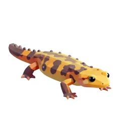 Climbing salamander