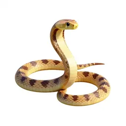 Common kingsnake