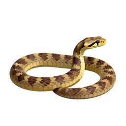 Common water snake