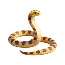 Coral snake