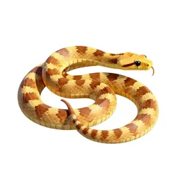 Corn snake