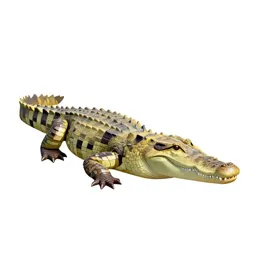 Crocodile