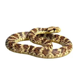 Death adder