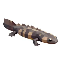 Dicamptodon