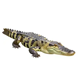 False gavial