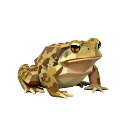 Fire-bellied toad