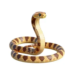 Garter snake