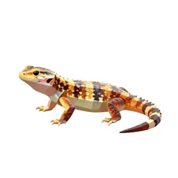 Glass lizard