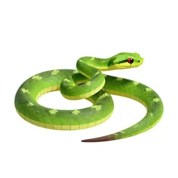Green snake