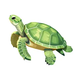 Green turtle