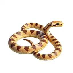 Hoop snake