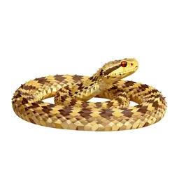 Horned viper