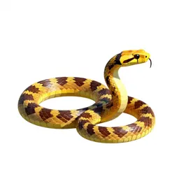 Krait