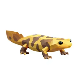 Limestone salamander
