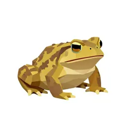 Midwife toad
