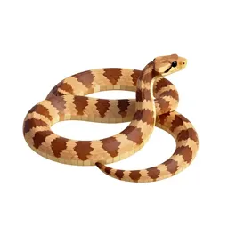 Milk snake